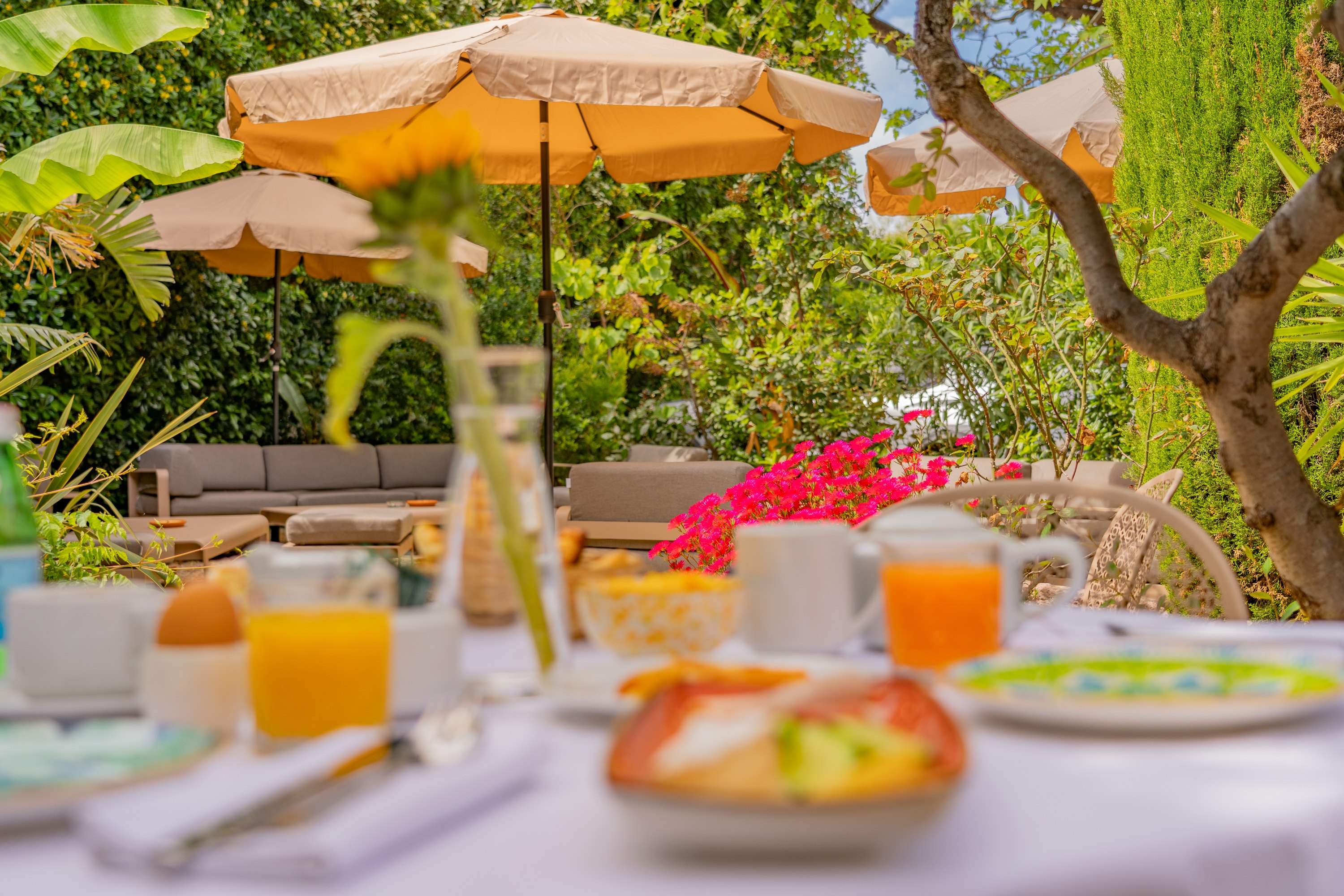 Flower-filled breakfast